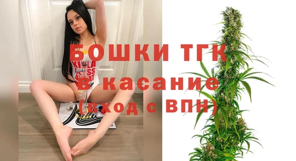 сатива Белоозёрский
